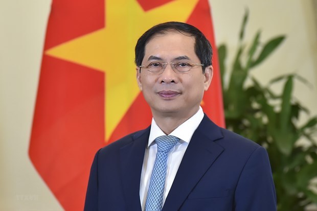 Vietnam determined to build modern, comprehensive, strong diplomatic sector -0