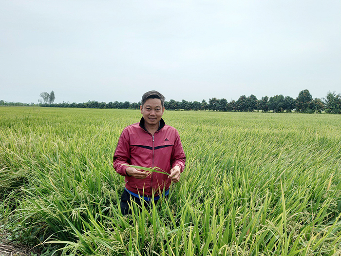 Nông sản được giá, doanh nghiệp phân bón nỗ lực đảm bảo nguồn cung chất lượng -0