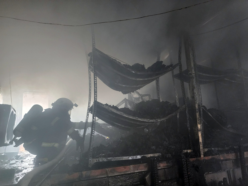 3be8197e1c04c95a9015.jpg -0