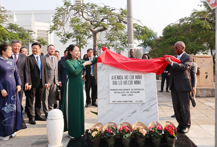 Phó Chủ tịch nước Võ Thị Ánh Xuân hội đàm với Thủ tướng Mozambique -0