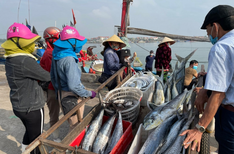 Nỗ lực tháo gỡ 