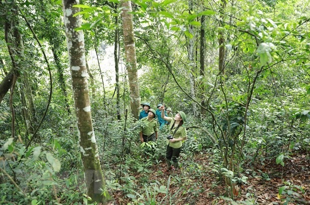 Vietnam takes steps towards net zero emissions -0