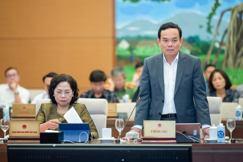 tranluuquang.jpg -0