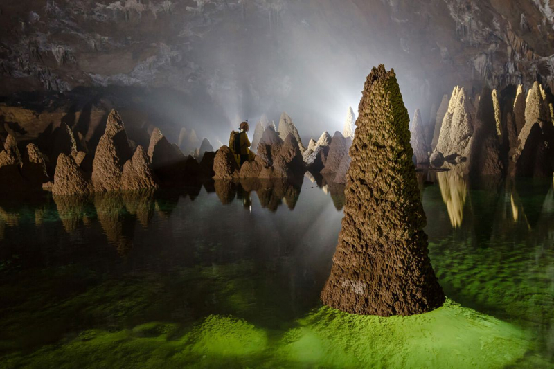 UNESCO khuyến cáo Phong Nha-Kẻ Bàng về sự xâm hại của các loài ngoại lai -0