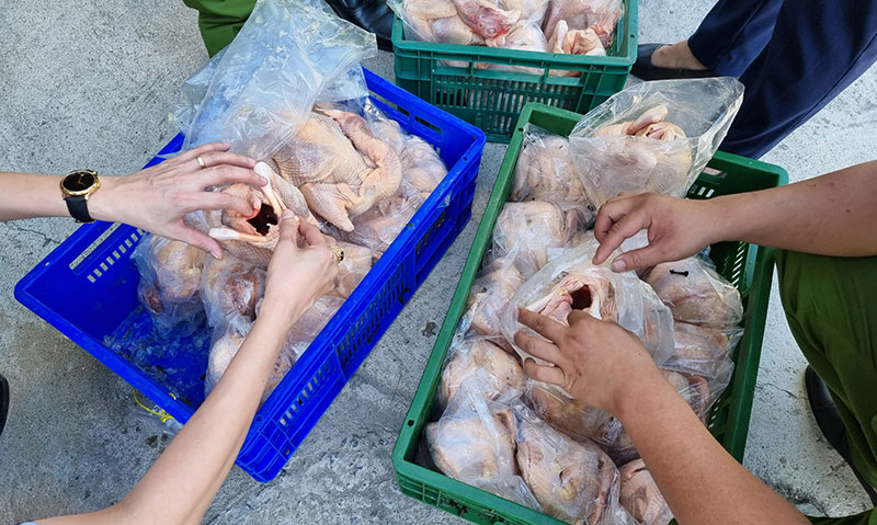 Phát hiện hơn 10 tấn gà đông lạnh không rõ nguồn gốc xuất xứ -0