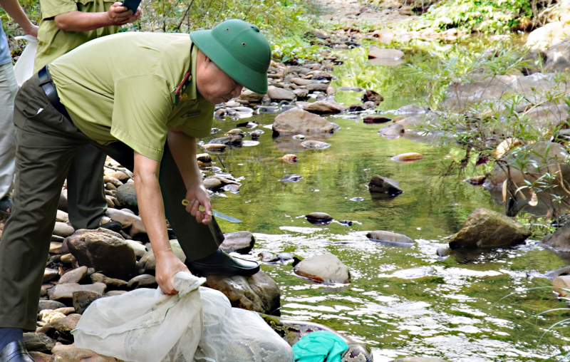 Quảng Trị thả trăn “khủng” về môi trường tự nhiên -0