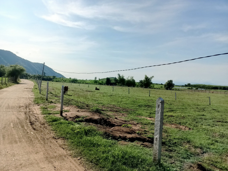 Thông tin bất ngờ liên quan một dự án ảo ở Phú Yên -0