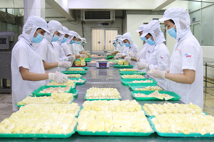 Doanh nghiệp lưu ý chứng nhận xuất xứ hàng hóa khi xuất khẩu vào EU -0