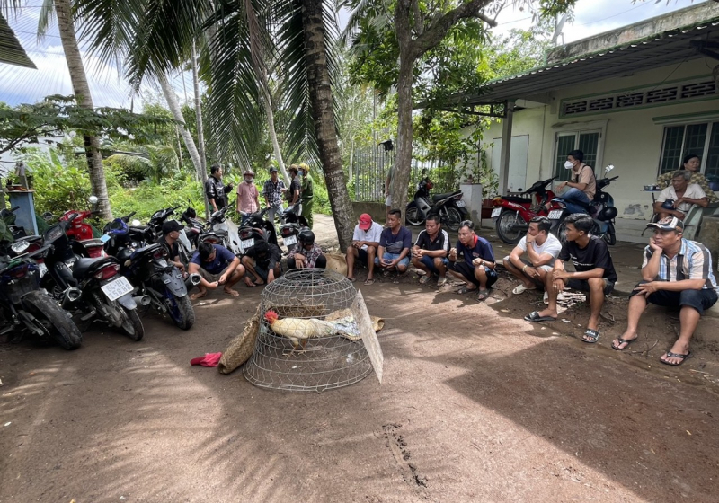 z4725038505436_690454d6cc0403849119a8b3daaca3bc.jpg -0