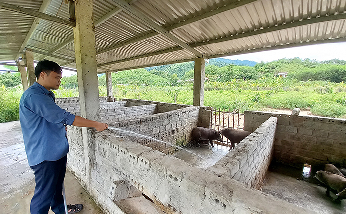 Cách làm hay trong xóa đói giảm nghèo ở huyện miền núi Nam Giang -0