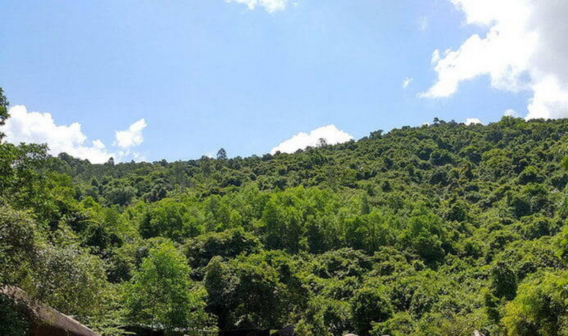 Phát hiện bộ xương nghi người mất tích cách đây hơn 1 năm khi vào rừng tìm trầm -0