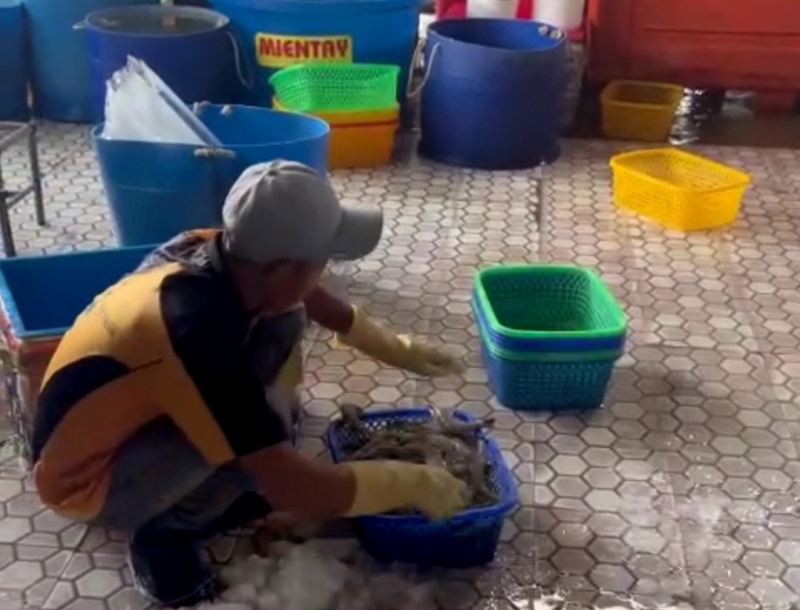 Bắt quả tang một cơ sở bơm tạp chất vào tôm nguyên liệu  -2