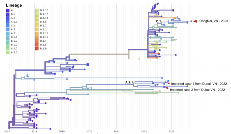 Đã có kết quả giải mã gene của ca bệnh đậu mùa khỉ đầu tiên tại TP Hồ Chí Minh  -0