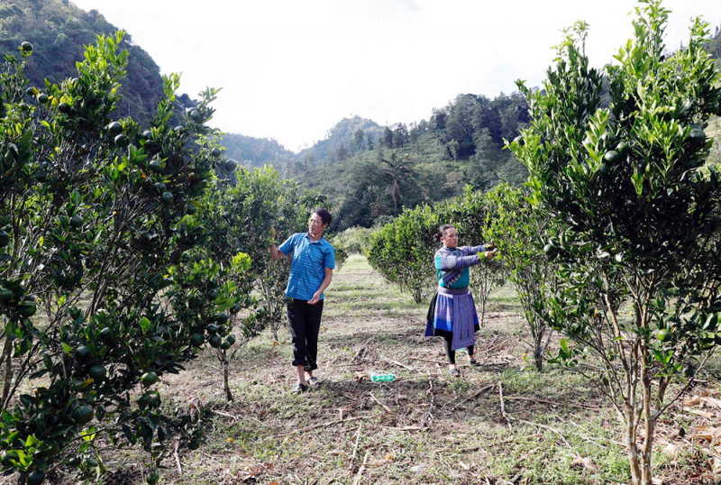 21 năm hành trình gieo niềm tin và khát vọng -0