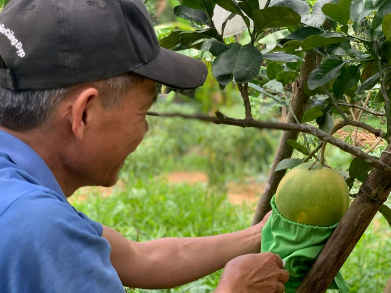Nhiều cách làm hay giúp giảm thiểu rác thải nhựa ra môi trường -0