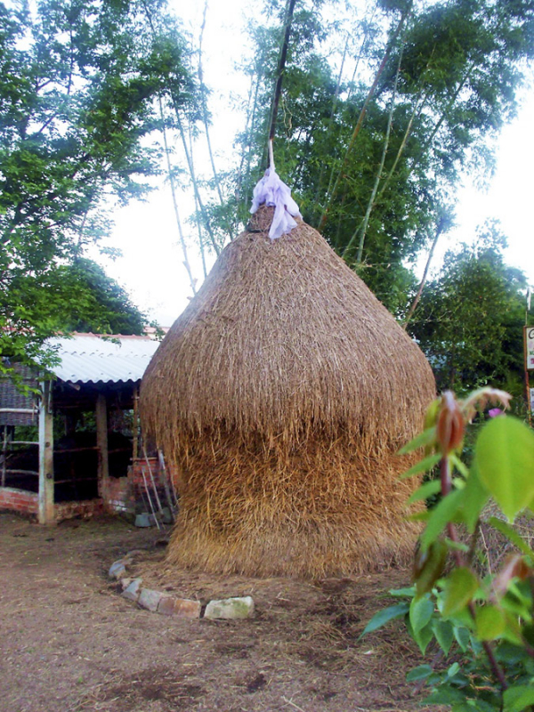 image003.jpg -1