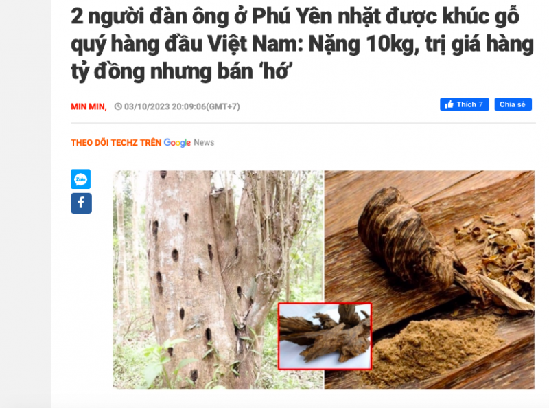 Thực hư chuyện hai người dân nhặt được trầm kỳ nhưng nghĩ là khúc củi nên bán... 