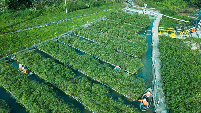 Masan: Đổi mới sáng tạo để phục vụ người tiêu dùng -0