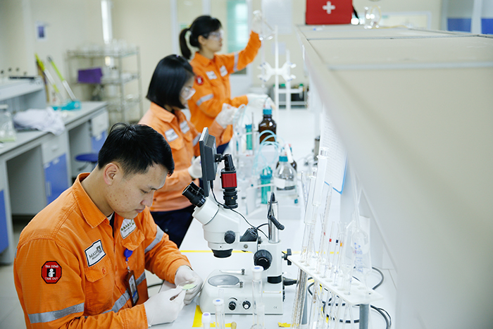 Masan: Đổi mới sáng tạo để phục vụ người tiêu dùng -0