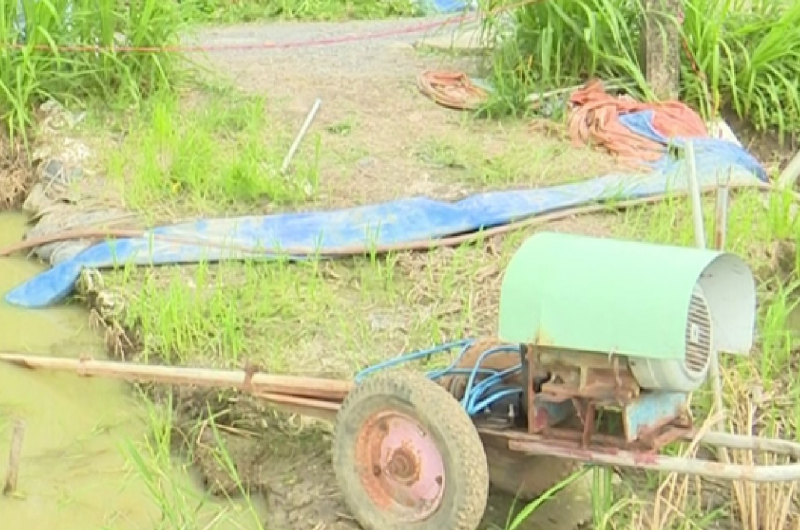Người đàn ông tử vong dưới ruộng lúa cạnh máy bơm đang hoạt động -0