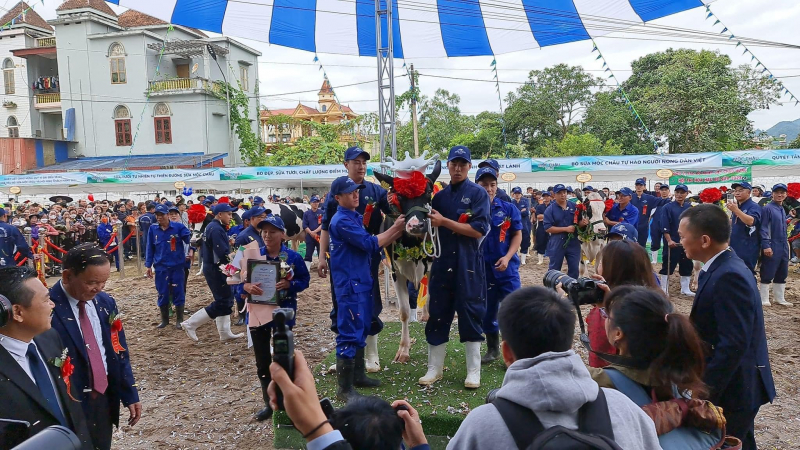 Có thêm một tân Hoa hậu… “Bò sữa” -0