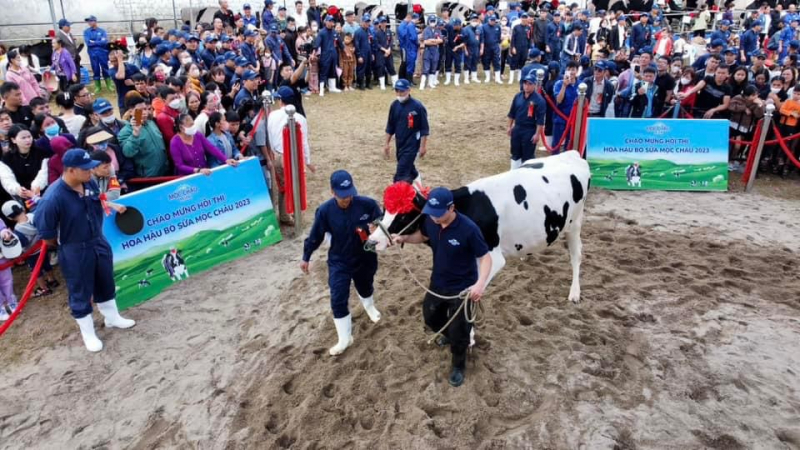 Có thêm một tân Hoa hậu… “Bò sữa” -0