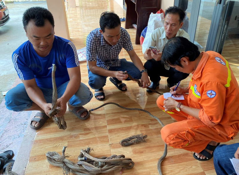 Trộm dây tiếp địa của Trạm phân phối 500kV Sông Hậu -0