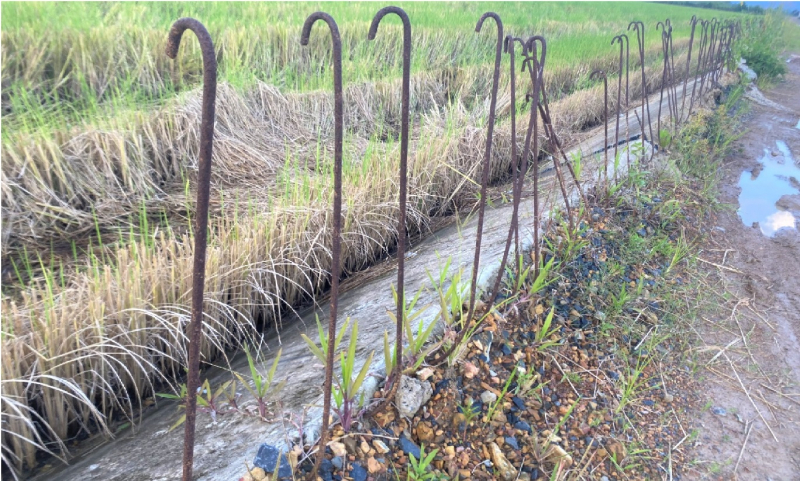 Cận cảnh đê bao ngăn lũ hơn 200 tỷ đồng chưa hoàn thành đã xuống cấp -0