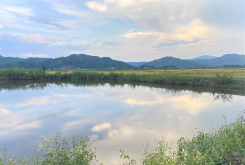 Cận cảnh đê bao ngăn lũ hơn 200 tỷ đồng chưa hoàn thành đã xuống cấp -0