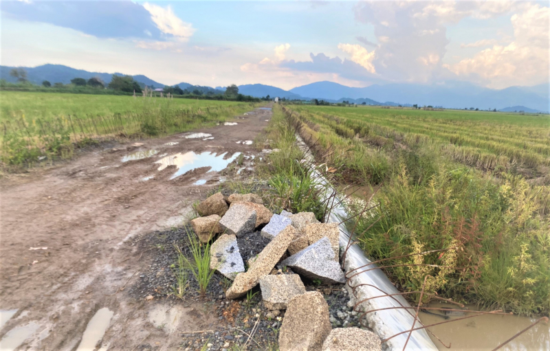 Cận cảnh đê bao ngăn lũ hơn 200 tỷ đồng chưa hoàn thành đã xuống cấp -0