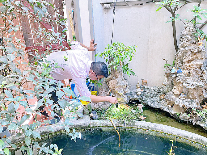 Hà Nội ghi nhận 136 ổ dịch sốt xuất huyết trong một tuần -0