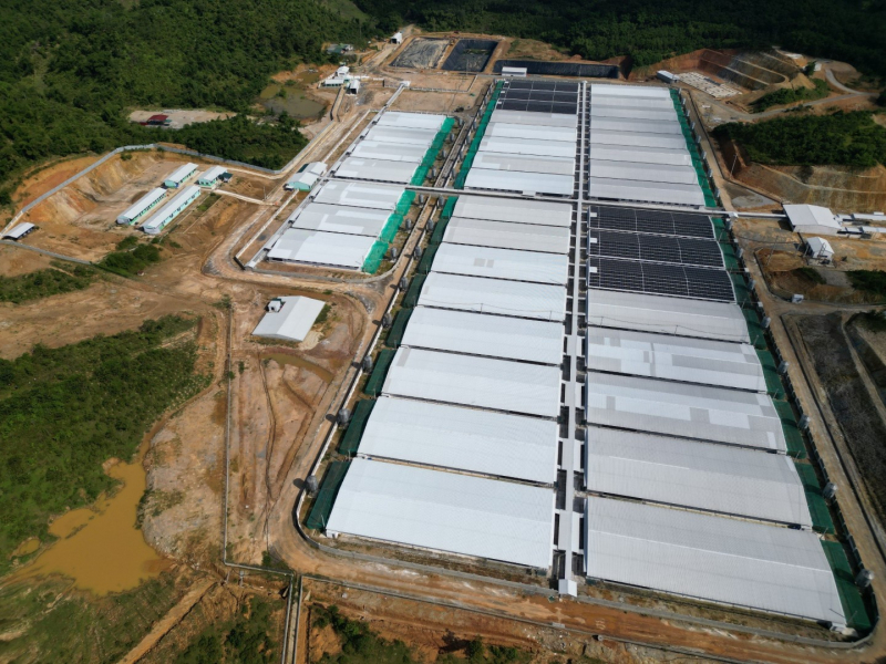 Trại chăn nuôi 700 con lợn gây ô nhiễm bị phạt gần 100 triệu đồng -0