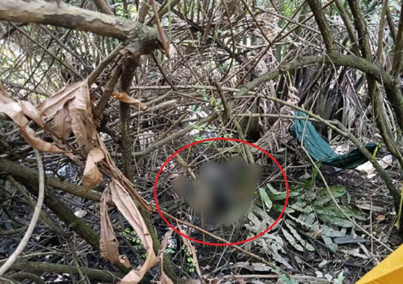 Người đàn ông tử vong cạnh chiếc võng mắc trong đầm lầy -0