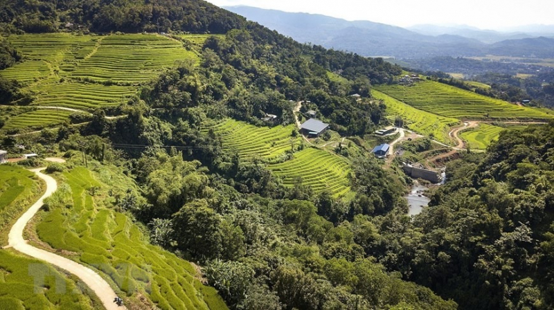 Peaceful charm of Mien Doi terraced rice fields -2