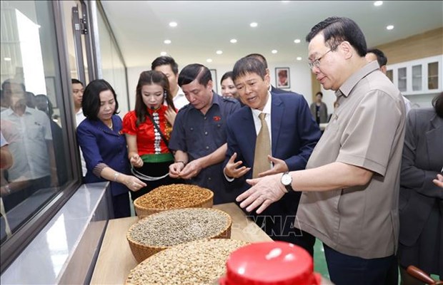 NA leader inaugurates coffee processing factory in Son La -0