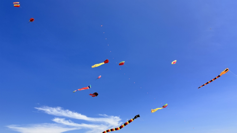 Sôi động Lễ hội diều “Chắp cánh ước mơ” -0