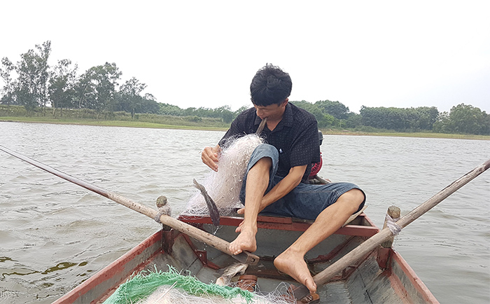 Đồng Mai một thuở vàng son -0
