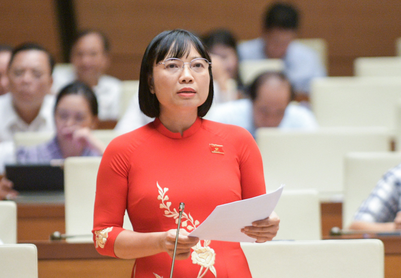 Việc cấp giấy chứng nhận căn cước cho người gốc Việt Nam là hoàn toàn phù hợp -0