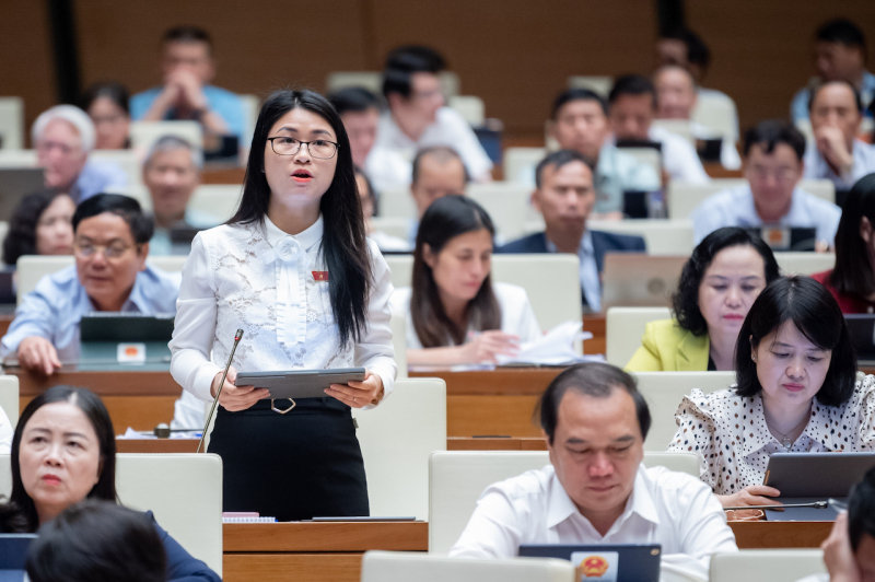 Việc cấp giấy chứng nhận căn cước cho người gốc Việt Nam là hoàn toàn phù hợp -0