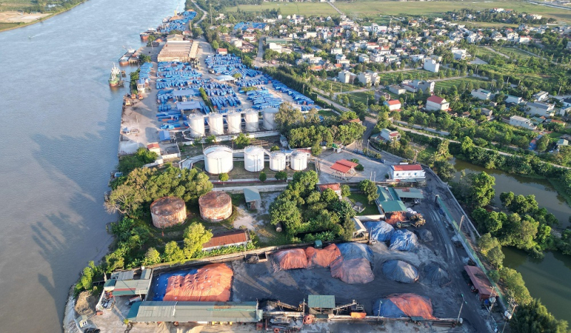Gam màu sáng trong bức tranh thu hút… “đại bàng” (Kỳ 4) -0
