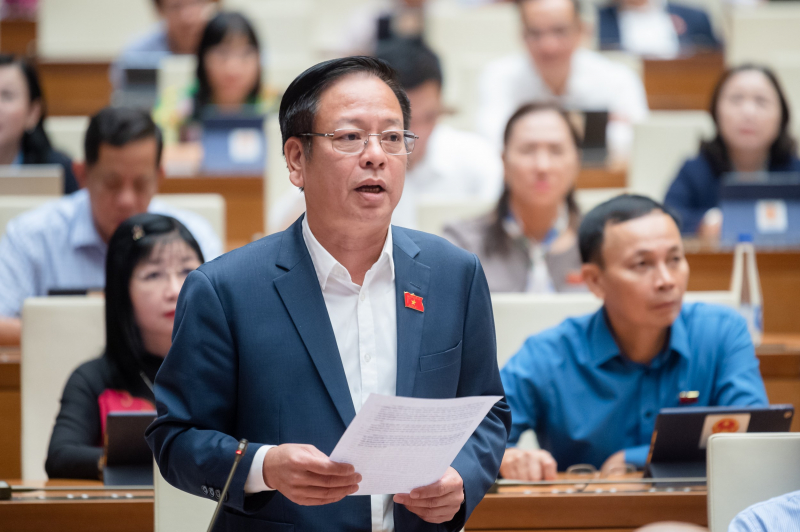 Hệ thống văn bản pháp luật còn chồng chéo, bất cập -0