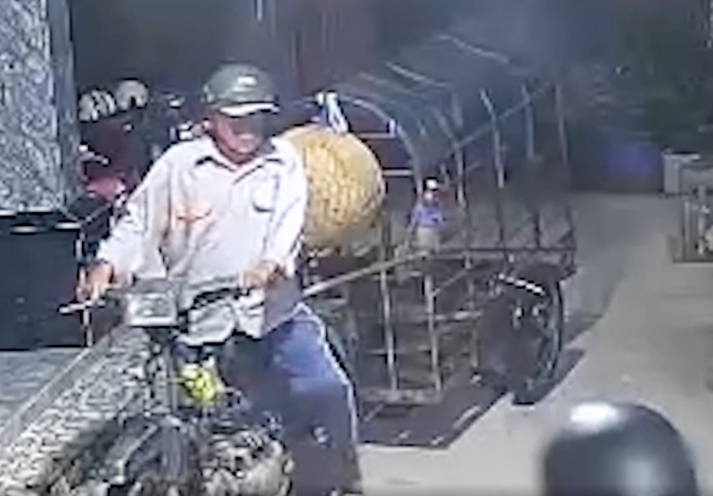 Người nuôi heo khốn đốn vì bị các đối tượng giả thương lái lừa đảo -0