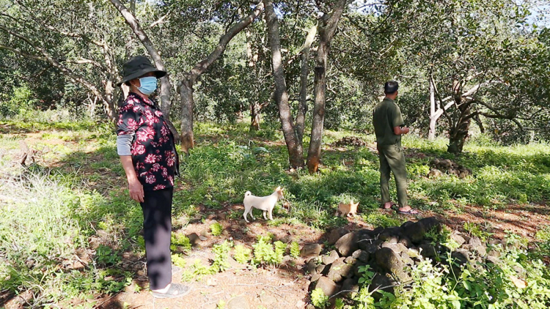 binh phuoc (1).jpg -0