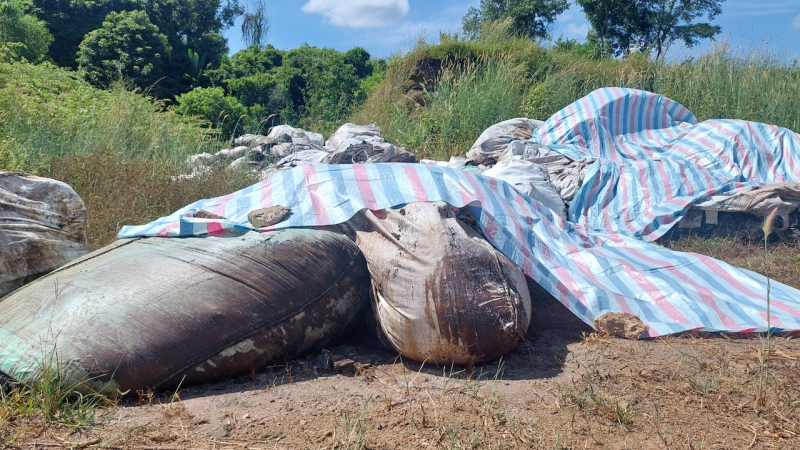 Ngang nhiên đổ trộm hàng chục tấn chất thải bốc mùi hôi thối -0