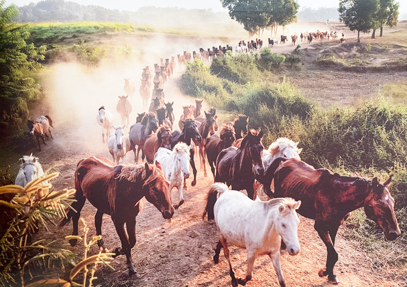 Bí ẩn đồi Bá Vân -0