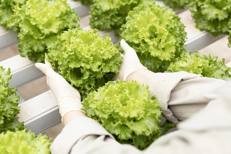 WinCommerce hợp tác cùng doanh nghiệp địa phương bình ổn giá -0