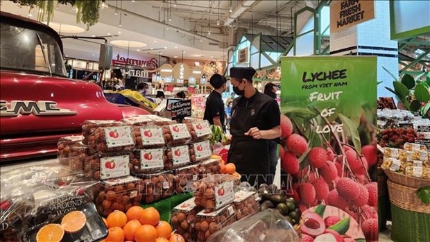 Forum connects enterprises in five Southeast Asian countries -0