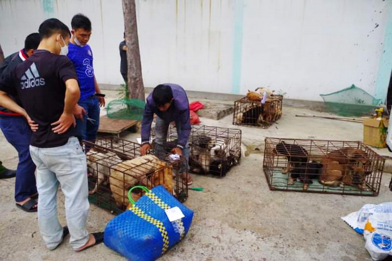 Thăm hỏi, động viên hai cán bộ, chiến sĩ Công an bị thương khi truy đuổi tội phạm -0