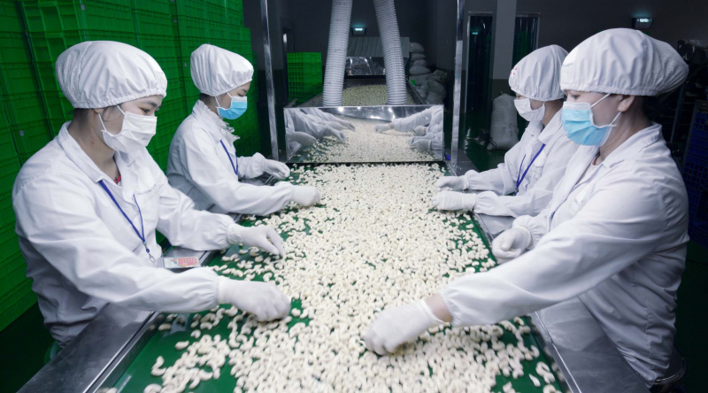 Thưởng Tết thể hiện trách nhiệm xã hội của doanh nghiệp -0