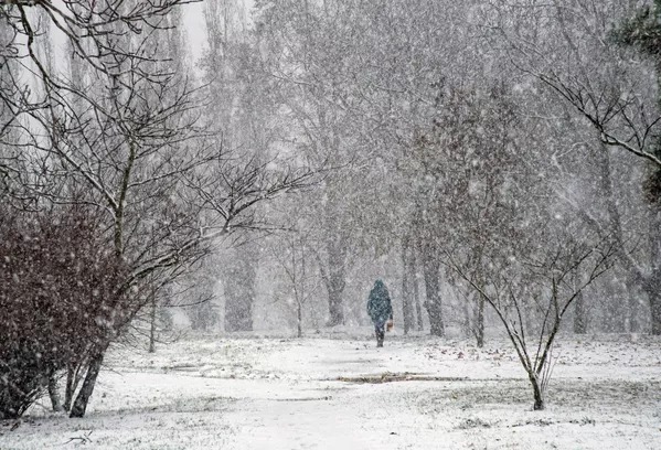 Bão tuyết càn quét Ukraine -0